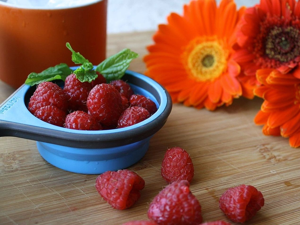 Mango Smoothie Recipes